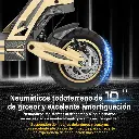 81EVzZO9YIL._AC_SL1500_.webp