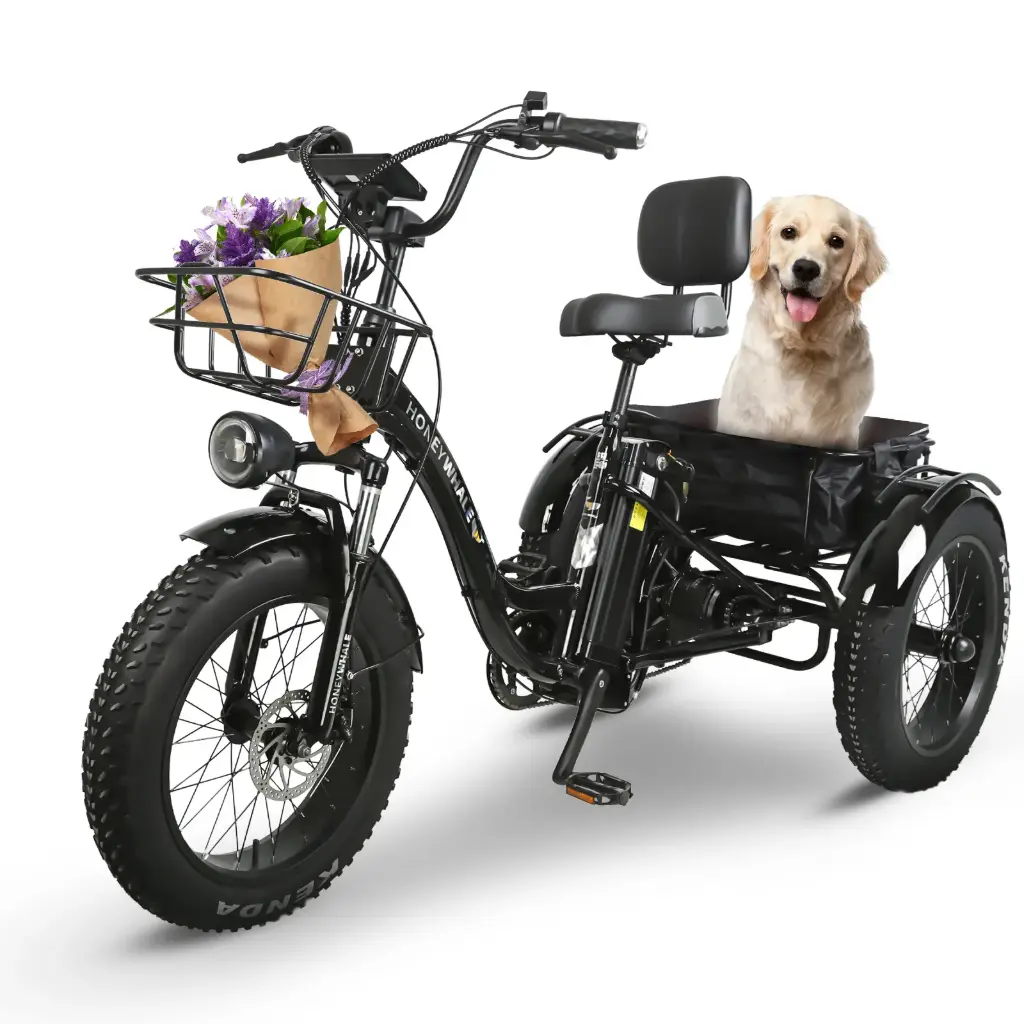 Tricicleta Electrica Plegable HoneyWhale S13 (Negro)