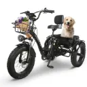 Tricicleta Electrica Plegable HoneyWhale S13