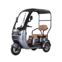 MotoBici Eléctrica HoneyWhale HN-N5