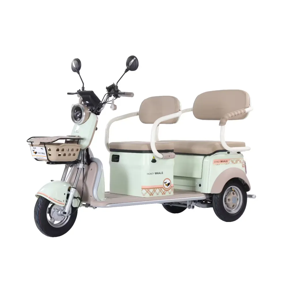 Trimoto Eléctrica Honey Whale HN-N1