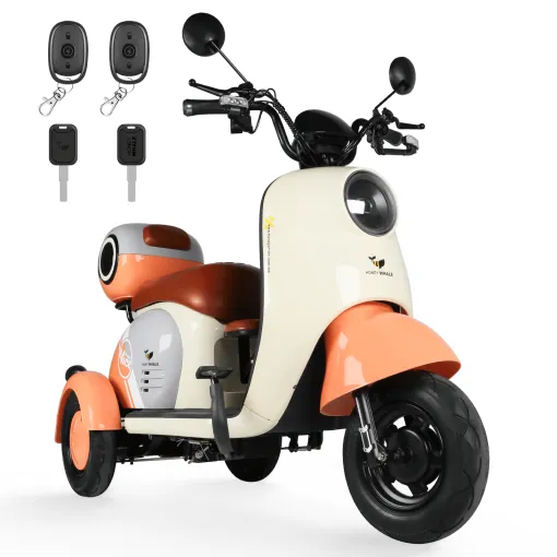 MotoBici Electrica Honeywhale V1 3 Ruedas 