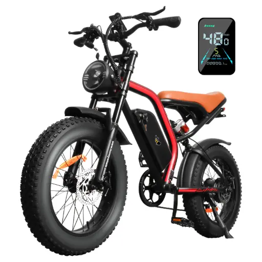 Bicicleta Eléctrica Honey Whale K6